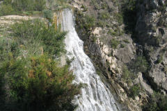 Copia-de-6