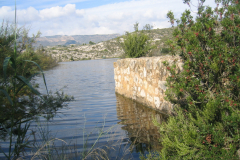 Copia-de-7