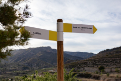 paseo_por_relleu-18-scaled