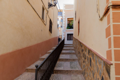 paseo_por_relleu_040115-7-scaled