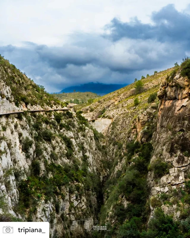 Posted • @tripiana_ Pantano de Relleu 

El pantano de Relleu es una de las obras hidráulicas más antiguas y singulares de la Comunidad Valenciana. Hasta mediados del s. XIX ninguna otra presa fue tan alta y tan estrecha como la de Relleu. Esta fotografía muestra la espectacular pasarela colgante, suspendida sobre un desfiladero, desde donde se camina junto a la antigua presa.

La idea de construirla surgió a principios del XVII, cuando La Vila Joiosa sufría escasez de agua para el riego. Aunque la autorización real llegó en 1653 gracias a Felipe IV, las obras se retrasaron por la oposición de los habitantes Relleu y Orxeta, no fue hasta la segunda mitad del siglo XVIII cuando se completó su construcción. Pertenece a la exlusiva nómina de embalses históricos que están considerados como las primeras presas modernas del mundo dado su caracter monumental y único

La presa, de tipo bóveda-arco, alcanza los 30 metros de altura y 10 de grosor. La presa ha sufrido cambios a lo largo del tiempo debido a la dificultad de su limpieza y los problemas provocados por la retención de lodos que obligaron a recrecer el muro en varias ocasiones: en la década de 1770 y posteriormente en torno a 1879 Tras la construcción del embalse de Amadorio, aguas abajo, este pantano fue abandonado sobre el año 1950. Solo en épocas de lluvias intensas llega a retener algo de agua. Pese a ello, este lugar sigue siendo una auténtica joya del patrimonio hidráulico.

📍 Fotografía tomada en Relleu
