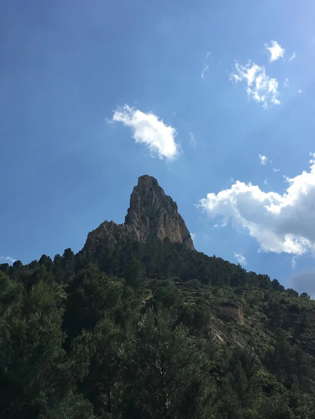 Publicación de Instagram 18142800361409710